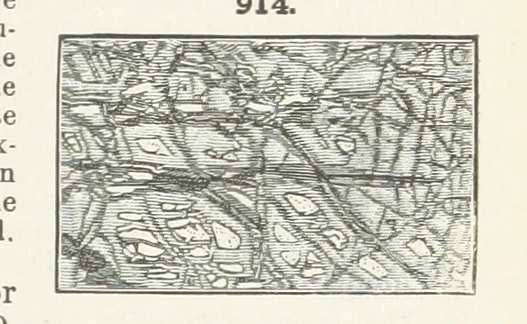 An illustration from A Text-Book of Mineralogy. With an extended treatise on crystallography and physical mineralogy ... on the plan and with the co-operation of ... James D. Dana ... With ... woodcuts ... Newly revised and enlarged. 17th edition, etc, 1898, leaf 495