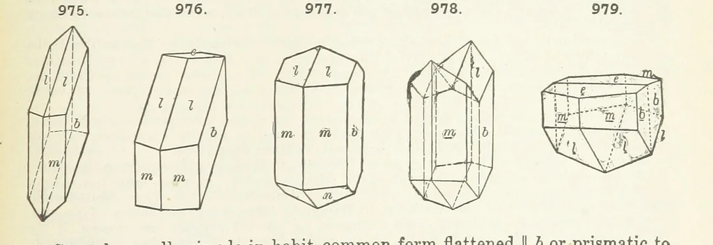 An illustration from A Text-Book of Mineralogy. With an extended treatise on crystallography and physical mineralogy ... on the plan and with the co-operation of ... James D. Dana ... With ... woodcuts ... Newly revised and enlarged. 17th edition, etc, 1898, leaf 549