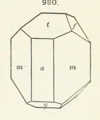 An illustration from A Text-Book of Mineralogy. With an extended treatise on crystallography and physical mineralogy ... on the plan and with the co-operation of ... James D. Dana ... With ... woodcuts ... Newly revised and enlarged. 17th edition, etc, 1898, leaf 557