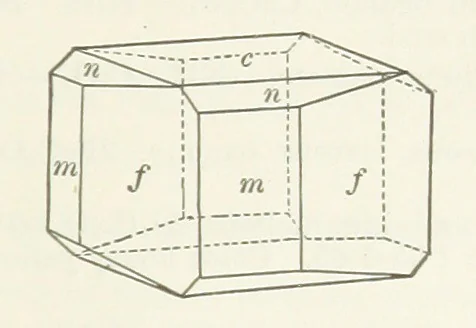 An illustration from A Text-Book of Mineralogy. With an extended treatise on crystallography and physical mineralogy ... on the plan and with the co-operation of ... James D. Dana ... With ... woodcuts ... Newly revised and enlarged. 17th edition, etc, 1898, leaf 559