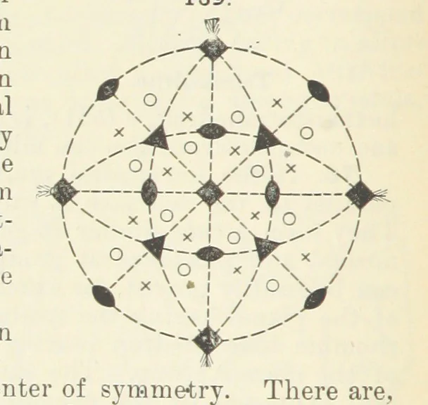 An illustration from A Text-Book of Mineralogy. With an extended treatise on crystallography and physical mineralogy ... on the plan and with the co-operation of ... James D. Dana ... With ... woodcuts ... Newly revised and enlarged. 17th edition, etc, 1898, leaf 68