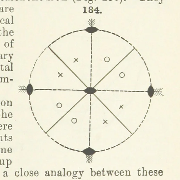 An illustration from A Text-Book of Mineralogy. With an extended treatise on crystallography and physical mineralogy ... on the plan and with the co-operation of ... James D. Dana ... With ... woodcuts ... Newly revised and enlarged. 17th edition, etc, 1898, leaf 79