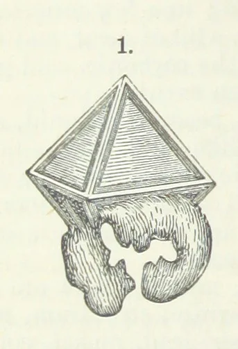 An illustration from Manual of Mineralogy, including observations on mines, rocks, reduction of ores, and the applications of the science to the arts ... Fourth edition, 1878, leaf 124