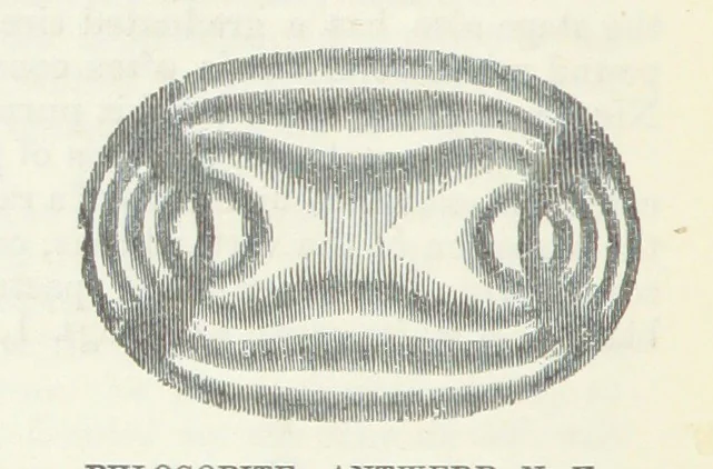 An illustration from Manual of Mineralogy, including observations on mines, rocks, reduction of ores, and the applications of the science to the arts ... Fourth edition, 1878, leaf 82