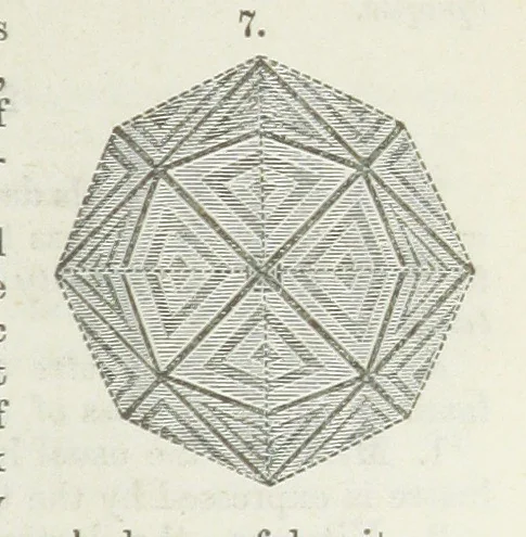 An illustration from Manual of Mineralogy, including observations on mines, rocks, reduction of ores, and the applications of the science to the arts ... Fourth edition, 1878, leaf 83