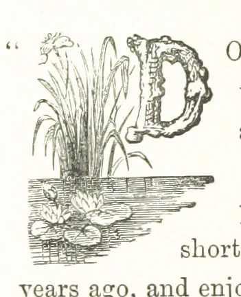 An illustration from The Handbook to the Rivers and Broads of Norfolk & Suffolk. [With illustrations and a map, 1888, leaf 26
