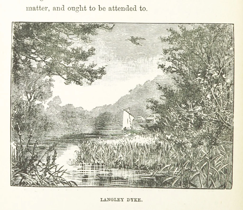An illustration from The Handbook to the Rivers and Broads of Norfolk & Suffolk. [With illustrations and a map, 1888, leaf 42