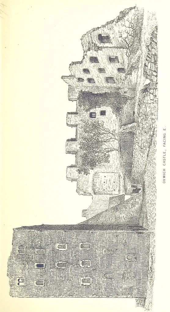 An illustration from A History of West Gower, Glamorganshire. (pt. 2. Historical Notices of the Parishes of Llanmadoc and Cheriton, etc.-pt. 3. Historical Notices of the Parishes of Llangenydd and Rhosili, etc.-pt. 4. Historical Notices of the Parishes of Penrice, Oxwich and Nicholaston, etc.), 1877, leaf 255