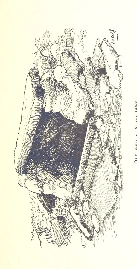 An illustration from A History of West Gower, Glamorganshire. (pt. 2. Historical Notices of the Parishes of Llanmadoc and Cheriton, etc.-pt. 3. Historical Notices of the Parishes of Llangenydd and Rhosili, etc.-pt. 4. Historical Notices of the Parishes of Penrice, Oxwich and Nicholaston, etc.), 1877, leaf 469