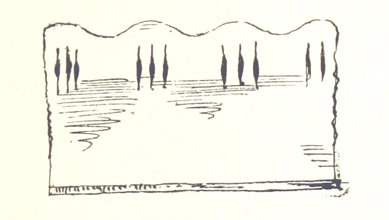 An illustration from A History of West Gower, Glamorganshire. (pt. 2. Historical Notices of the Parishes of Llanmadoc and Cheriton, etc.-pt. 3. Historical Notices of the Parishes of Llangenydd and Rhosili, etc.-pt. 4. Historical Notices of the Parishes of Penrice, Oxwich and Nicholaston, etc.), 1877, leaf 525