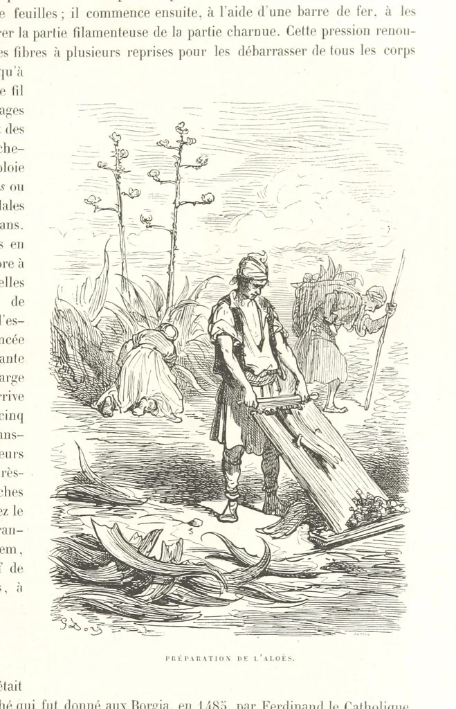 An illustration from L'Espagne ... Illustrée de 309 gravures dessinées sur bois par Gustave Doré, 1874, leaf 101