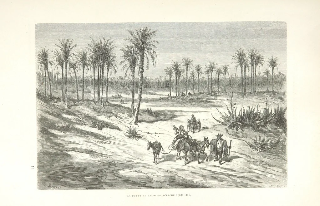 An illustration from L'Espagne ... Illustrée de 309 gravures dessinées sur bois par Gustave Doré, 1874, leaf 123