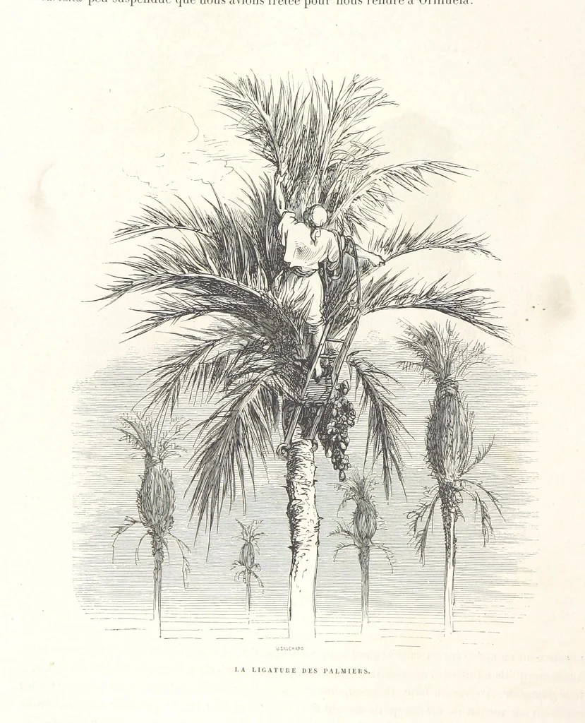 An illustration from L'Espagne ... Illustrée de 309 gravures dessinées sur bois par Gustave Doré, 1874, leaf 126