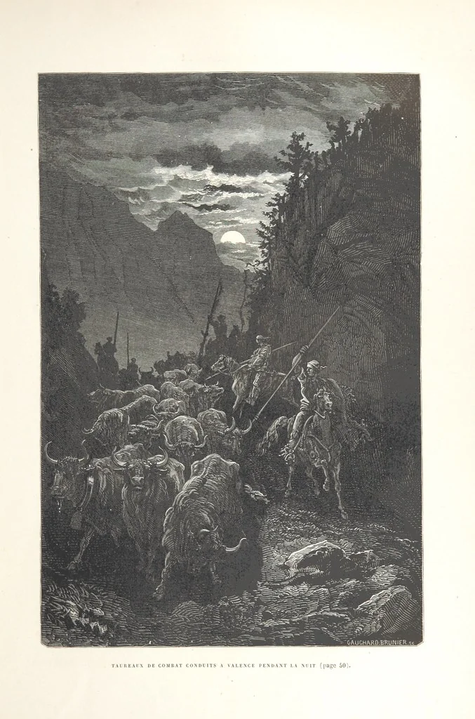 An illustration from L'Espagne ... Illustrée de 309 gravures dessinées sur bois par Gustave Doré, 1874, leaf 61