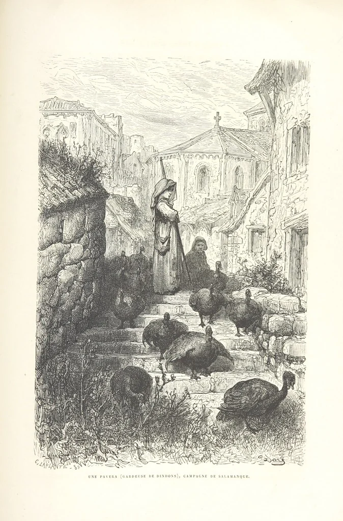 An illustration from L'Espagne ... Illustrée de 309 gravures dessinées sur bois par Gustave Doré, 1874, leaf 663