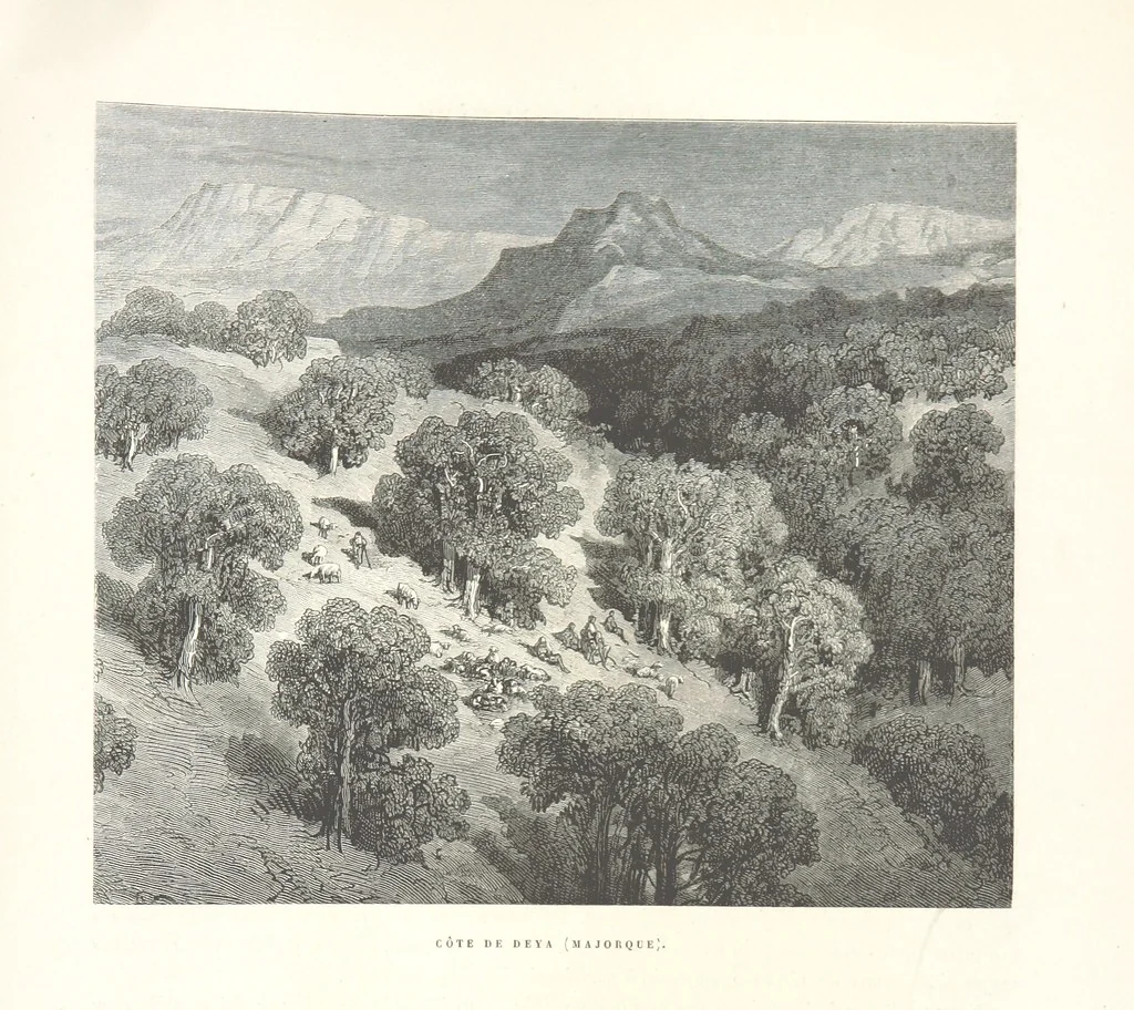 An illustration from L'Espagne ... Illustrée de 309 gravures dessinées sur bois par Gustave Doré, 1874, leaf 785
