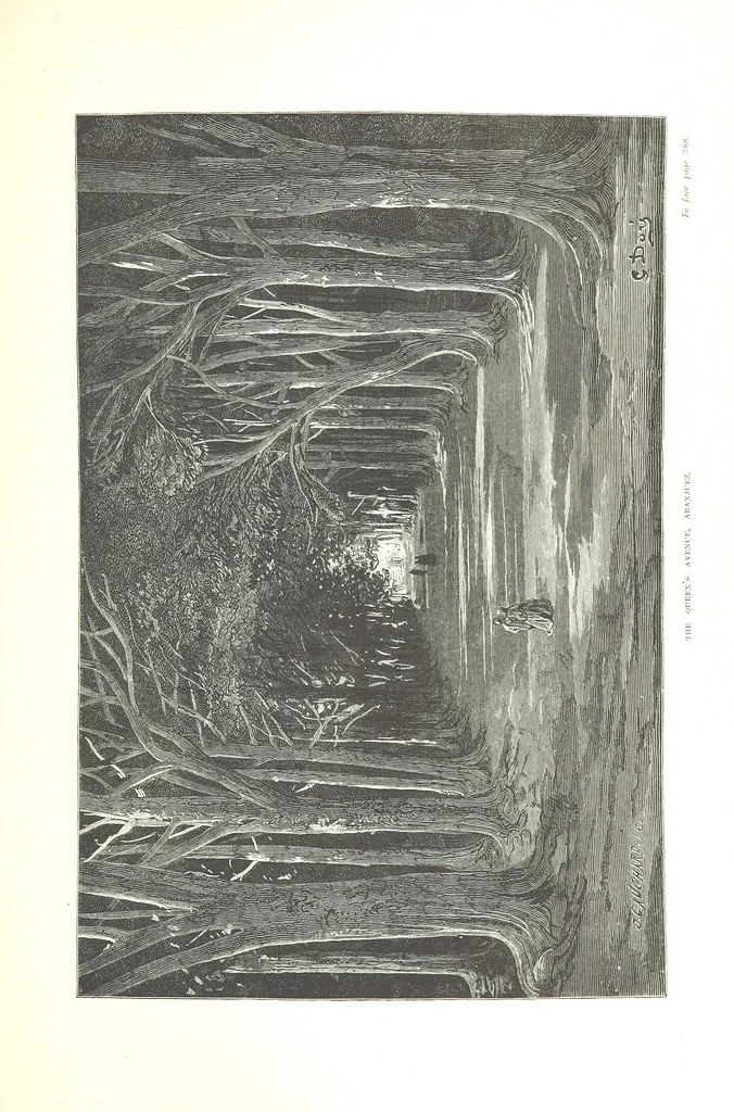 An illustration from Spain ... Illustrated by Gustave Doré. Translated by J. Thomson, 1876, leaf 423