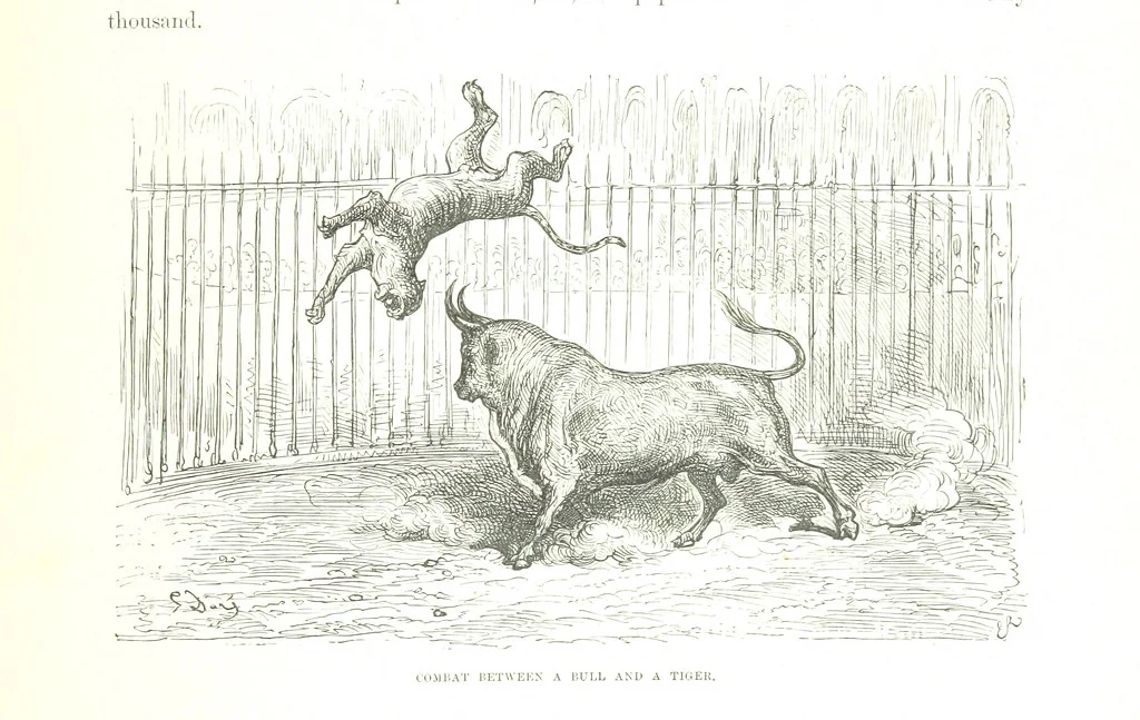 An illustration from Spain ... Illustrated by Gustave Doré. Translated by J. Thomson, 1876, leaf 425