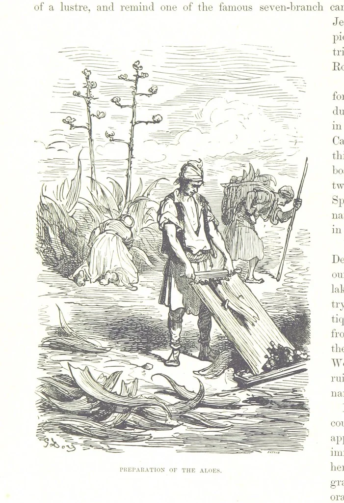 An illustration from Spain ... Illustrated by Gustave Doré. Translated by J. Thomson, 1876, leaf 98