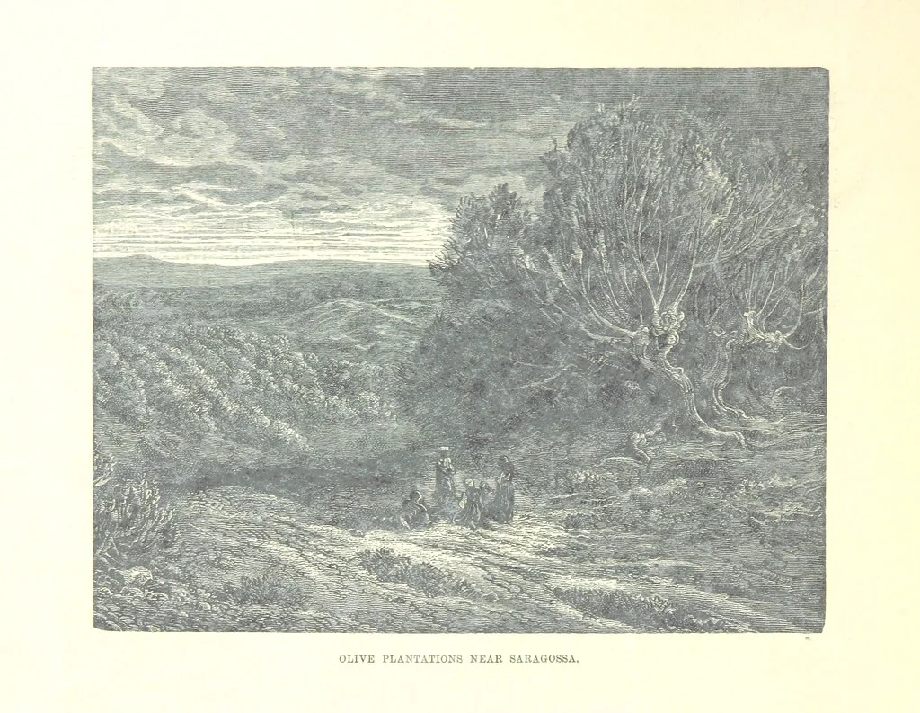 An illustration from Spain ... Illustrated by Gustave Doré. Translated by J. Thomson, 1881, leaf 500