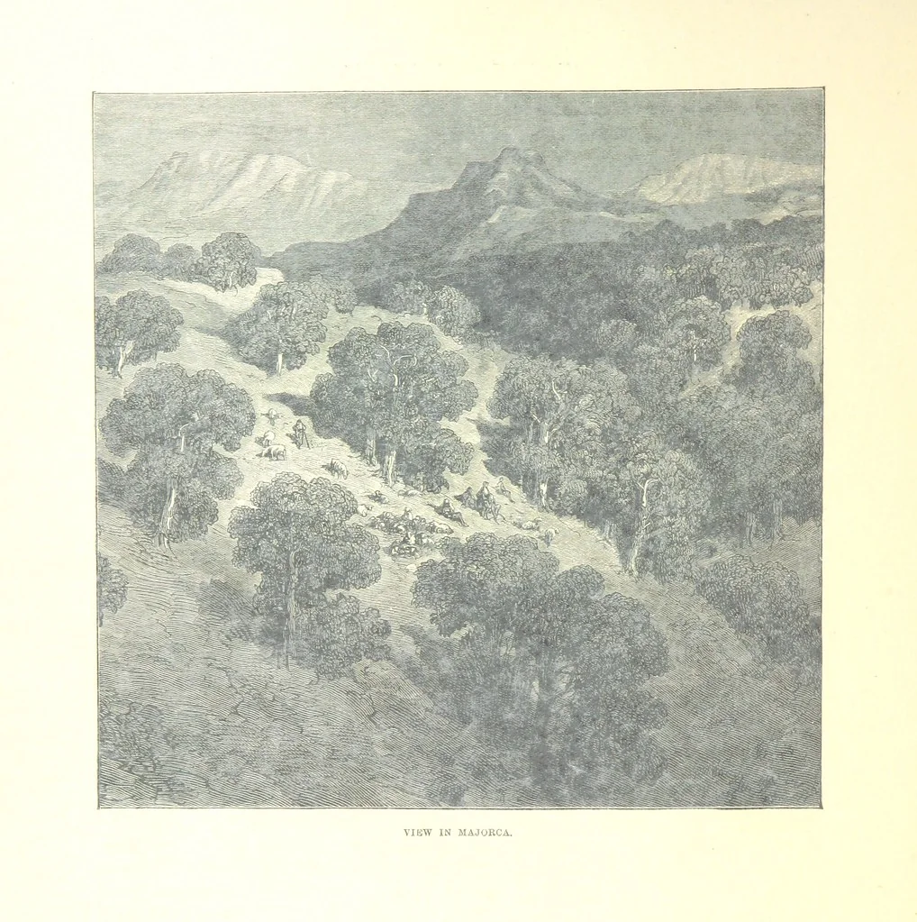 An illustration from Spain ... Illustrated by Gustave Doré. Translated by J. Thomson, 1881, leaf 534
