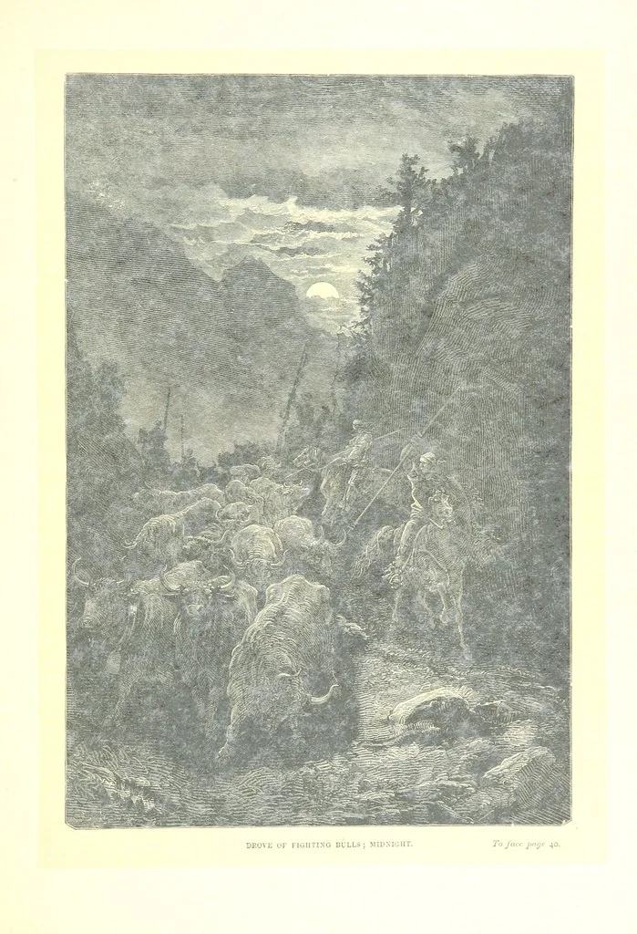 An illustration from Spain ... Illustrated by Gustave Doré. Translated by J. Thomson, 1881, leaf 61