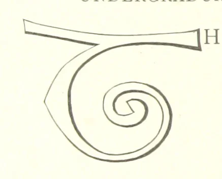 An illustration from Our English Cousins ... Illustrated, 1894, leaf 122
