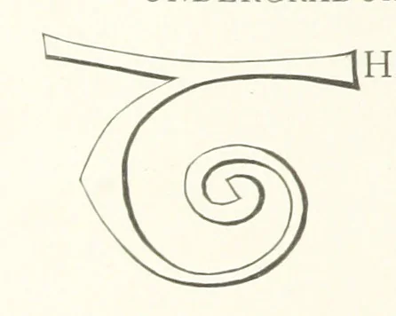 An illustration from Our English Cousins ... Illustrated, 1894, leaf 122