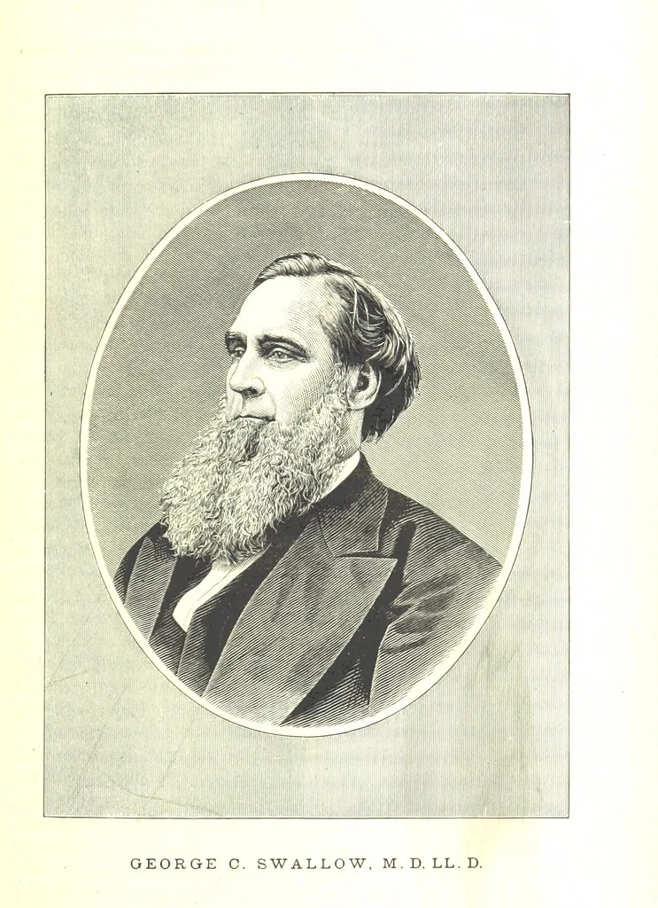 An illustration from An Illustrated History of Missouri. Comprising its early record, and civil, political, and military history from the first exploration to the present time. Including ... biographical sketches of prominent citizens. [With plates, 1876, leaf 335