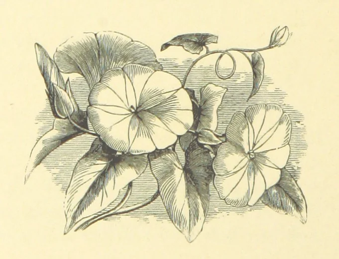 An illustration from Dawn to Daylight: or, Gleams from the poets of twelve centuries. With above two hundred illustrations, 1874, leaf 104