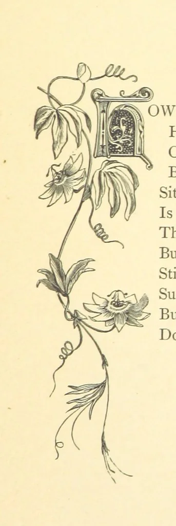 An illustration from Dawn to Daylight: or, Gleams from the poets of twelve centuries. With above two hundred illustrations, 1874, leaf 105