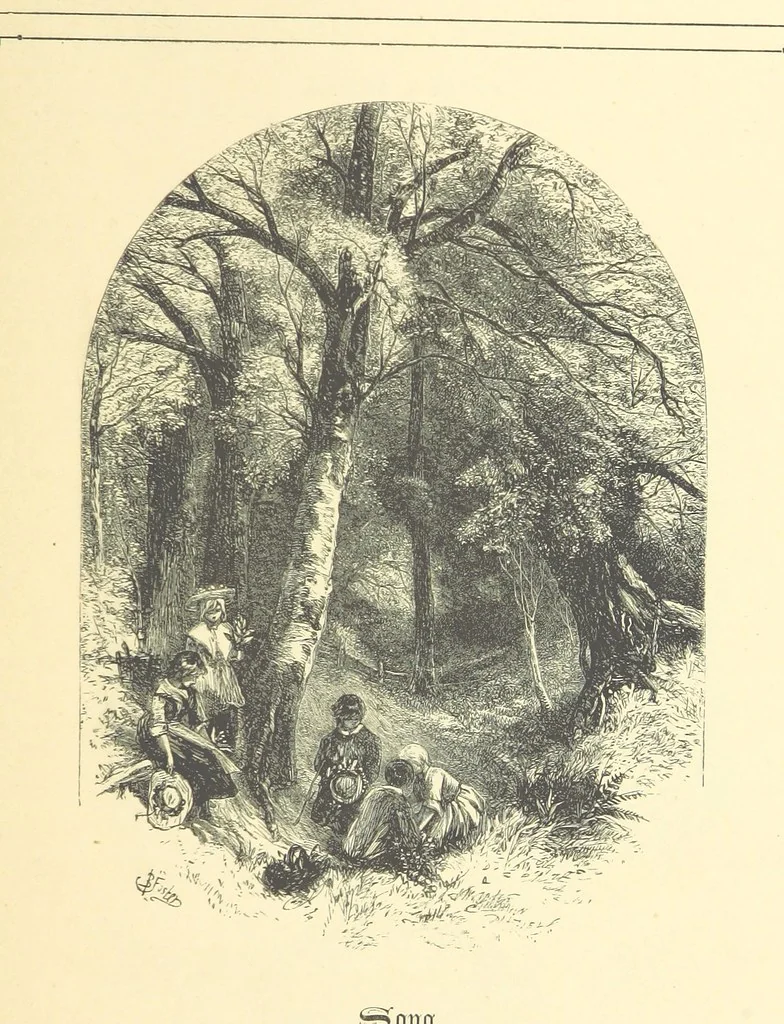 An illustration from Dawn to Daylight: or, Gleams from the poets of twelve centuries. With above two hundred illustrations, 1874, leaf 109