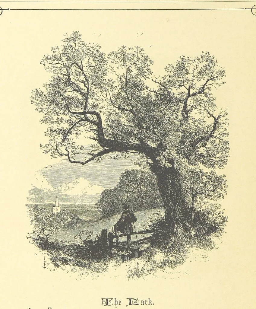 An illustration from Dawn to Daylight: or, Gleams from the poets of twelve centuries. With above two hundred illustrations, 1874, leaf 136