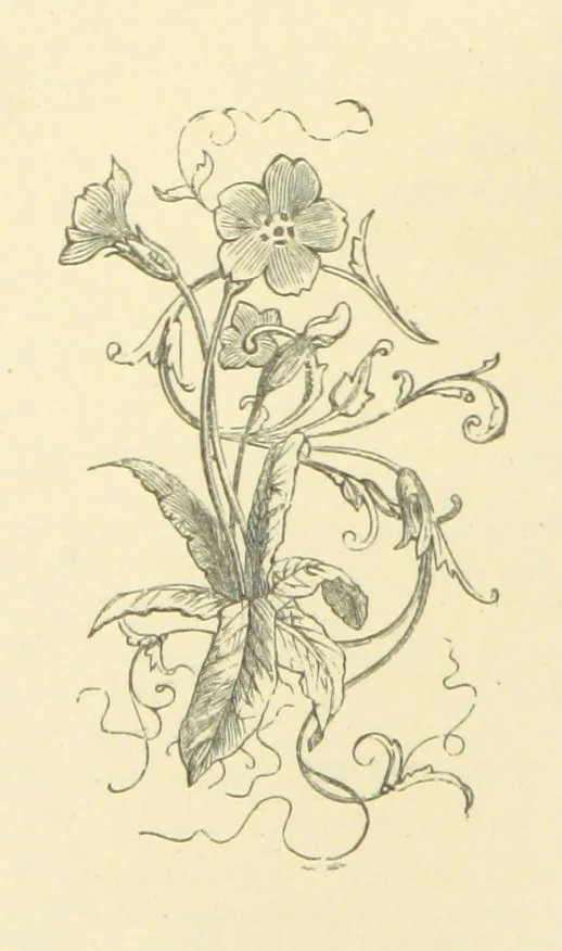 An illustration from Dawn to Daylight: or, Gleams from the poets of twelve centuries. With above two hundred illustrations, 1874, leaf 26