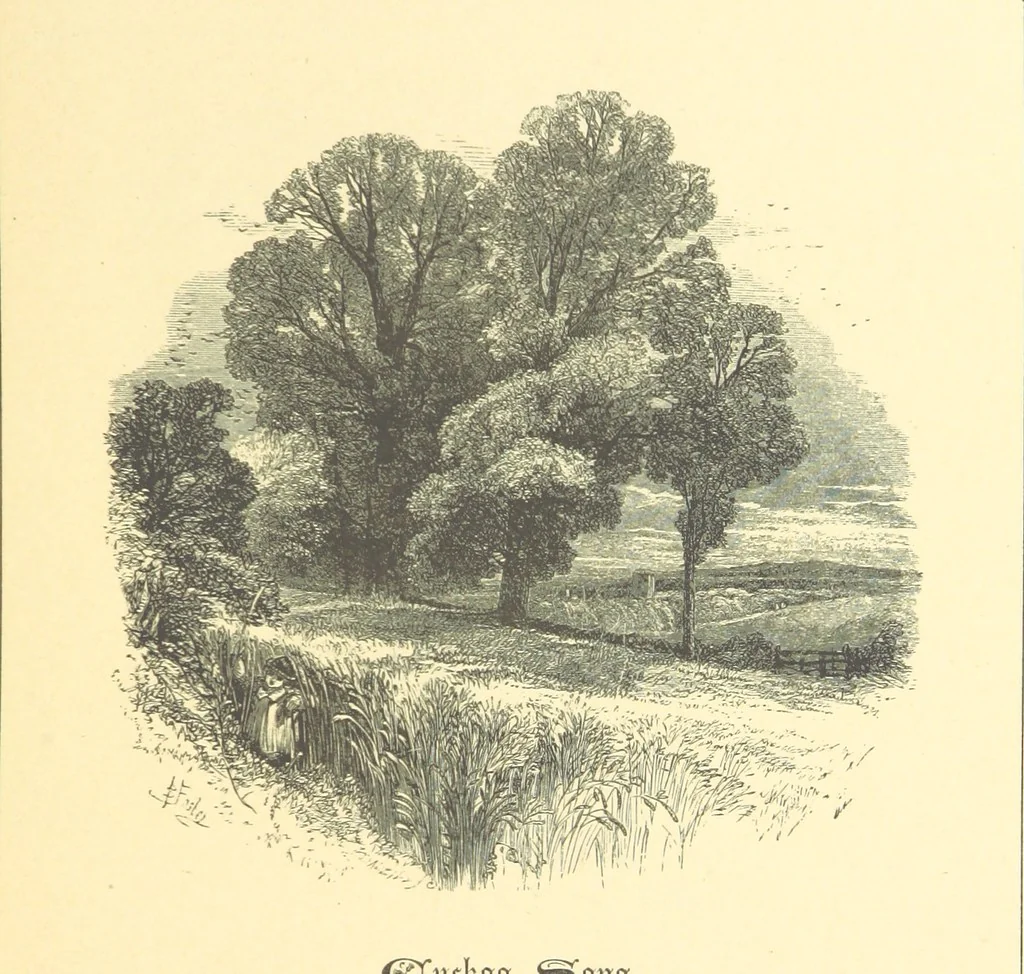 An illustration from Dawn to Daylight: or, Gleams from the poets of twelve centuries. With above two hundred illustrations, 1874, leaf 31