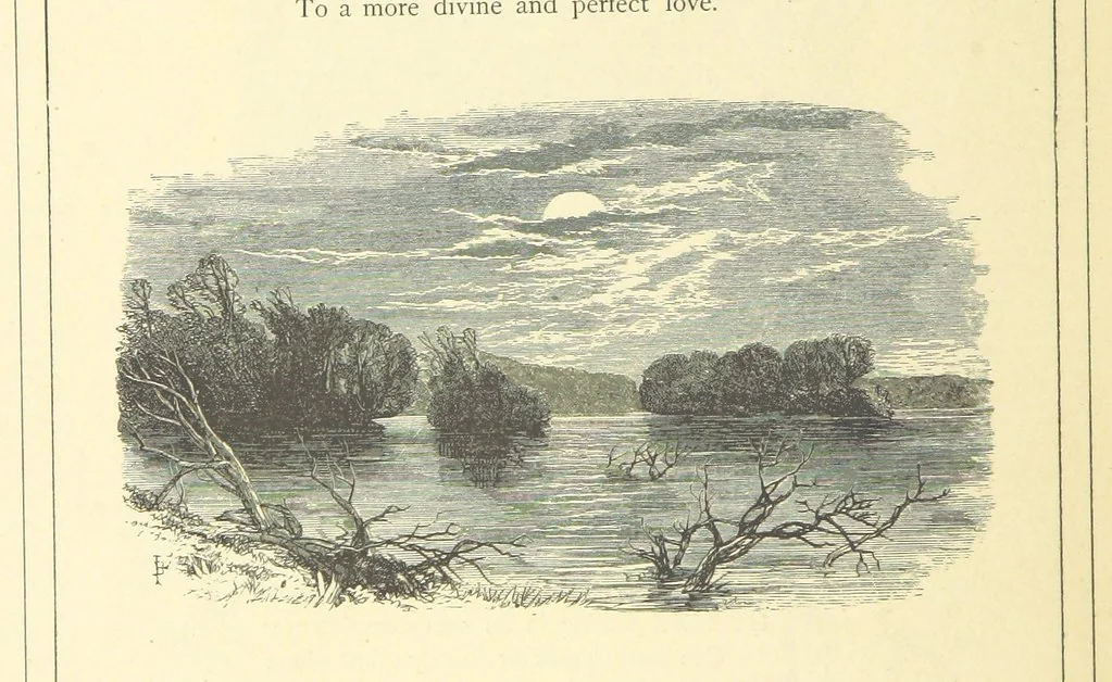 An illustration from Dawn to Daylight: or, Gleams from the poets of twelve centuries. With above two hundred illustrations, 1874, leaf 318