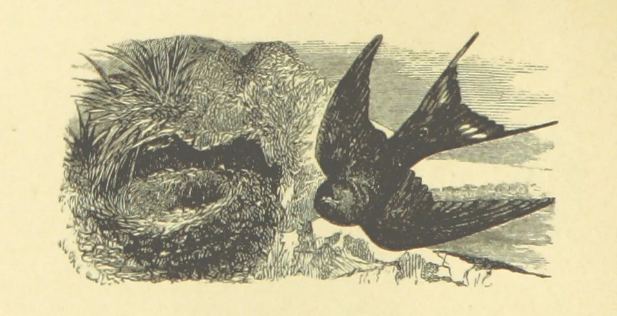 An illustration from Dawn to Daylight: or, Gleams from the poets of twelve centuries. With above two hundred illustrations, 1874, leaf 32