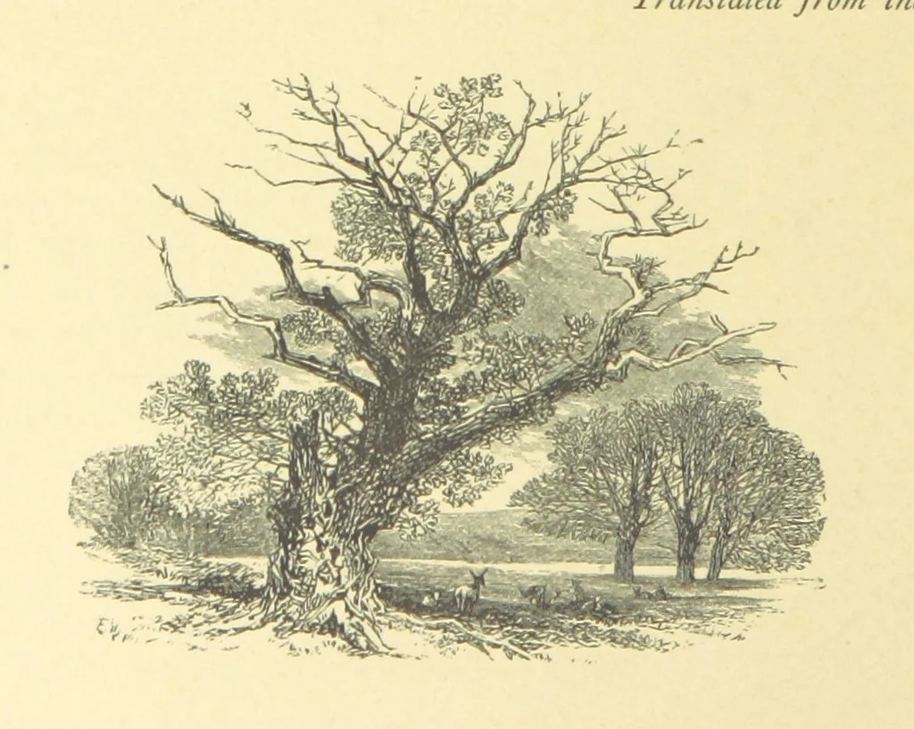 An illustration from Dawn to Daylight: or, Gleams from the poets of twelve centuries. With above two hundred illustrations, 1874, leaf 34