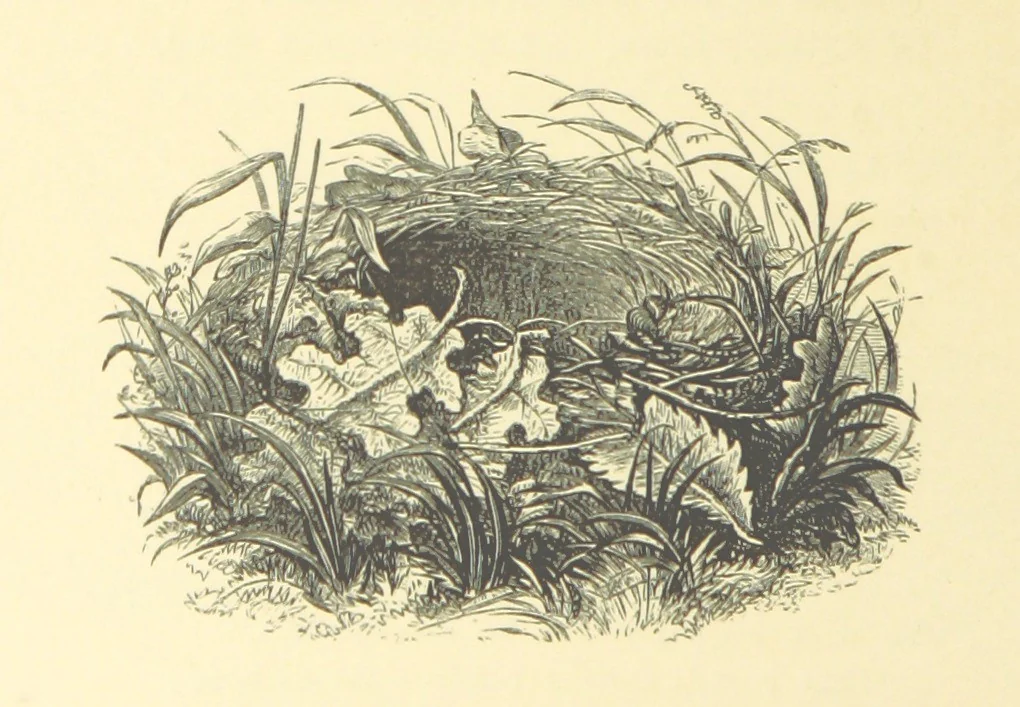 An illustration from Dawn to Daylight: or, Gleams from the poets of twelve centuries. With above two hundred illustrations, 1874, leaf 42