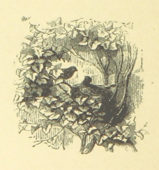 An illustration from Dawn to Daylight: or, Gleams from the poets of twelve centuries. With above two hundred illustrations, 1874, leaf 48