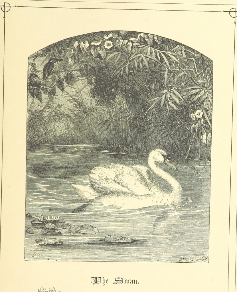 An illustration from Dawn to Daylight: or, Gleams from the poets of twelve centuries. With above two hundred illustrations, 1874, leaf 75