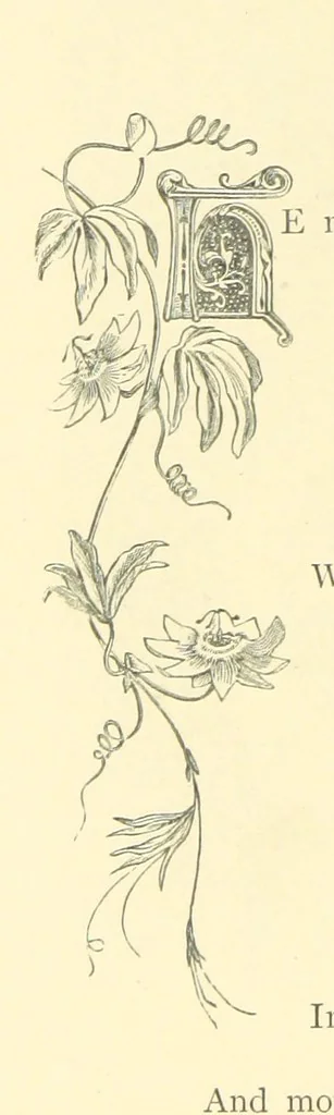 An illustration from Dawn to Daylight: or, Gleams from the poets of twelve centuries. With above two hundred illustrations, 1874, leaf 76