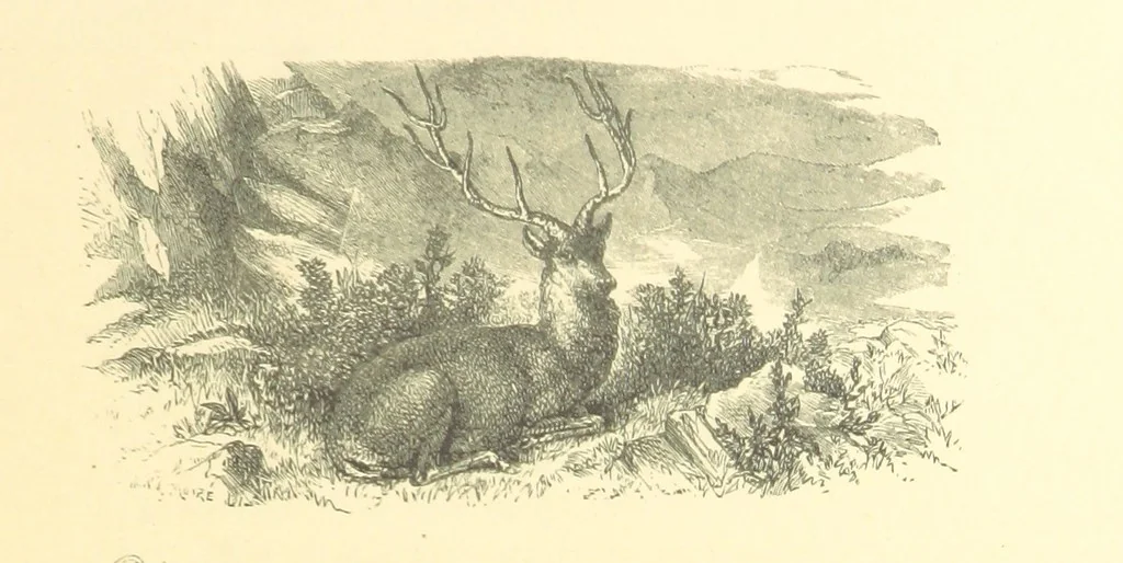 An illustration from Dawn to Daylight: or, Gleams from the poets of twelve centuries. With above two hundred illustrations, 1874, leaf 77