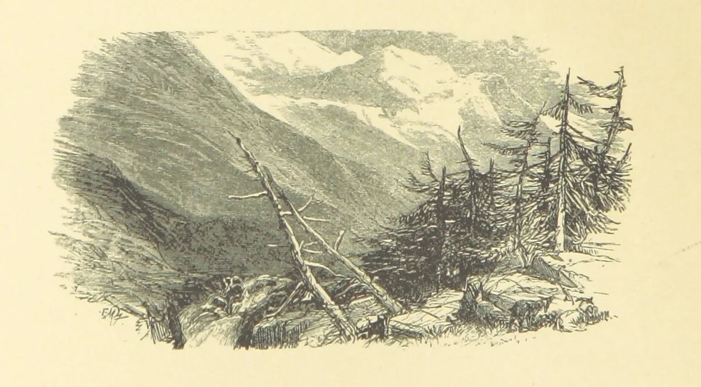 An illustration from Dawn to Daylight: or, Gleams from the poets of twelve centuries. With above two hundred illustrations, 1874, leaf 82