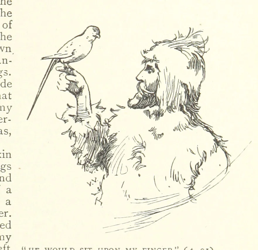 An illustration from The Life and Strange Surprising Adventures of Robinson Crusoe ... Illustrated, 1895, leaf 103