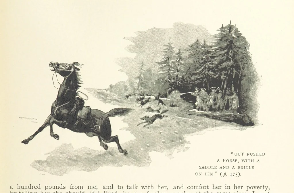 An illustration from The Life and Strange Surprising Adventures of Robinson Crusoe ... Illustrated, 1895, leaf 179