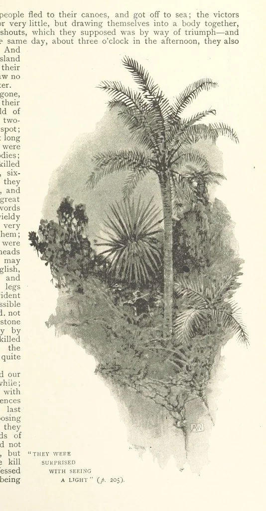 An illustration from The Life and Strange Surprising Adventures of Robinson Crusoe ... Illustrated, 1895, leaf 219