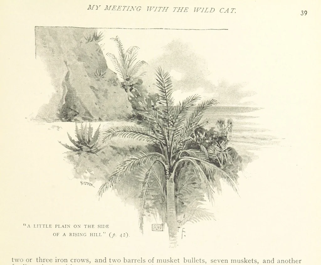 An illustration from The Life and Strange Surprising Adventures of Robinson Crusoe ... Illustrated, 1895, leaf 45
