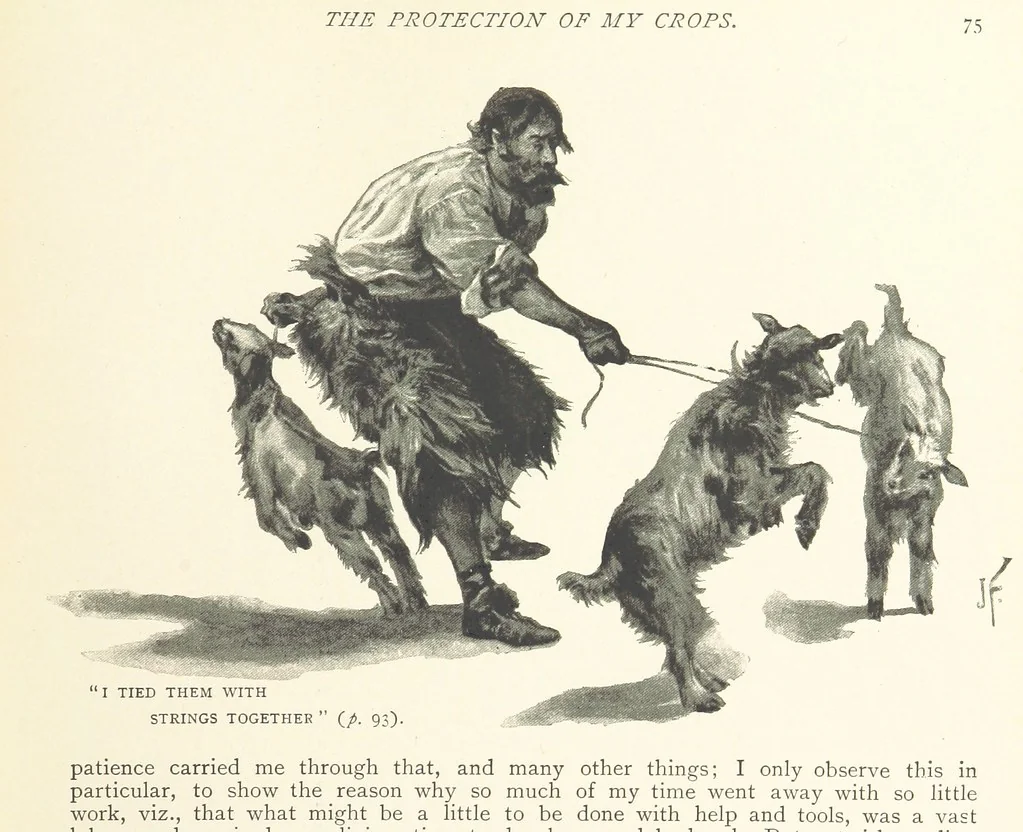 An illustration from The Life and Strange Surprising Adventures of Robinson Crusoe ... Illustrated, 1895, leaf 83