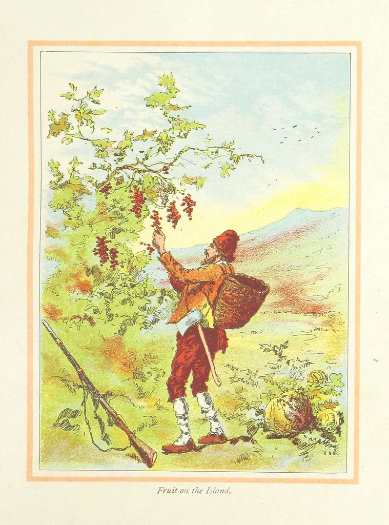 An illustration from The Adventures of Robinson Crusoe ... Newly edited after the original editions. With twenty illustrations by Kauffman. [Parts 1 and 2, abridged. With an introduction signed: S. R. B, 1884, leaf 105